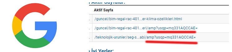 Google Analytics amp?usqp=mq331AQCCAE= şeklinde gelen ziyaretçiler